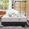 Eminflex Materassi Cinquantesimo matrimonaile con rete Elekta Plus e kit notte